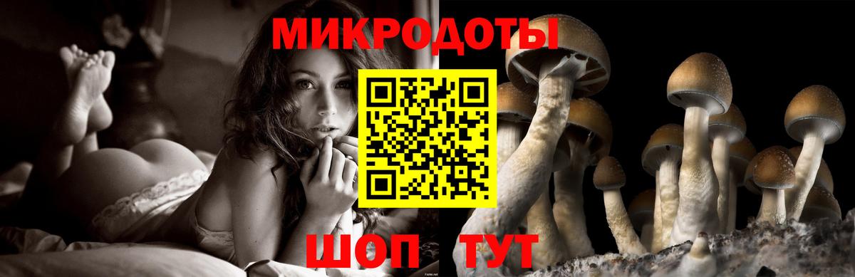 Галлюциногенные грибы Psilocybine cubensis  Вход с VPN  Горно-Алтайск 